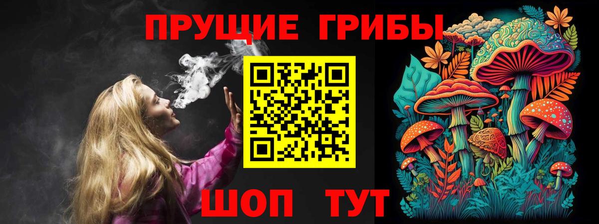 Галлюциногенные грибы Cubensis  Вход с VPN  Котлас 